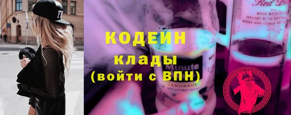 крисы Новодвинск