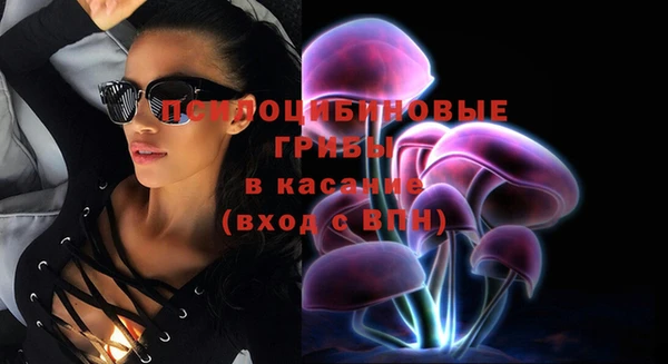 мет Новозыбков