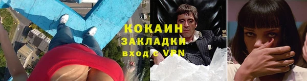 крисы Новодвинск
