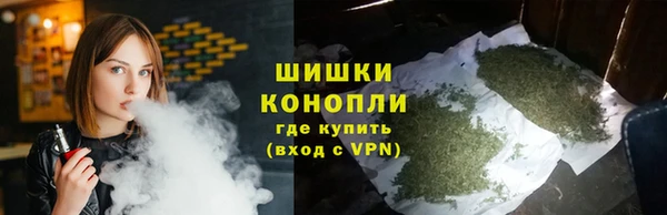 мет Новозыбков