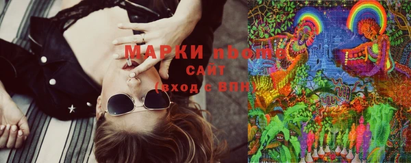 крисы Новодвинск