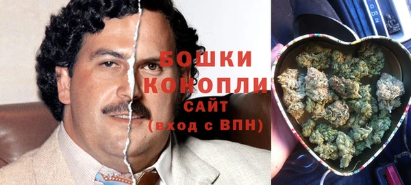 крисы Новодвинск