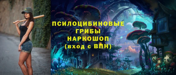 эйфоретик Новокубанск