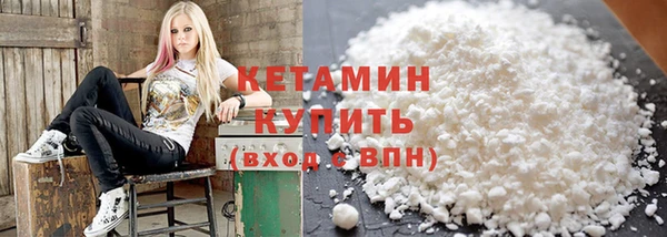 крисы Новодвинск