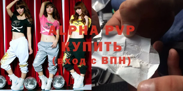 крисы Новодвинск