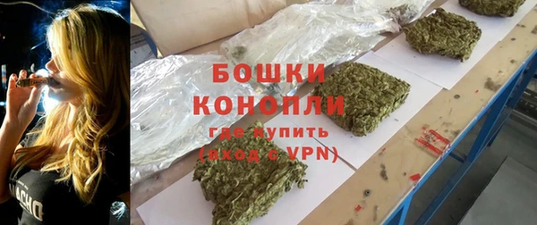мет Новозыбков