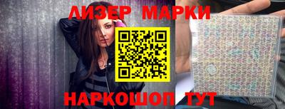 стаф Гатчина