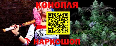 хмурый Гай