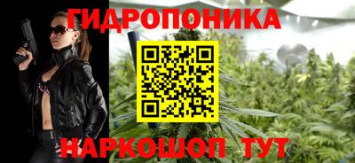 стаф Гатчина