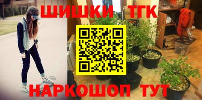 стаф Гатчина