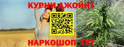 стаф Гатчина