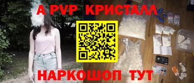 стаф Гатчина