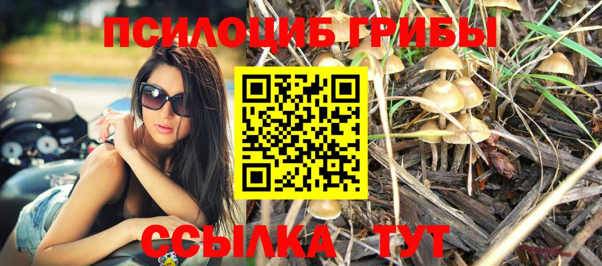 Канабис  Марки  Меф  СОЛЬ CK  Плюхи  Клин  Вход с VPN 
