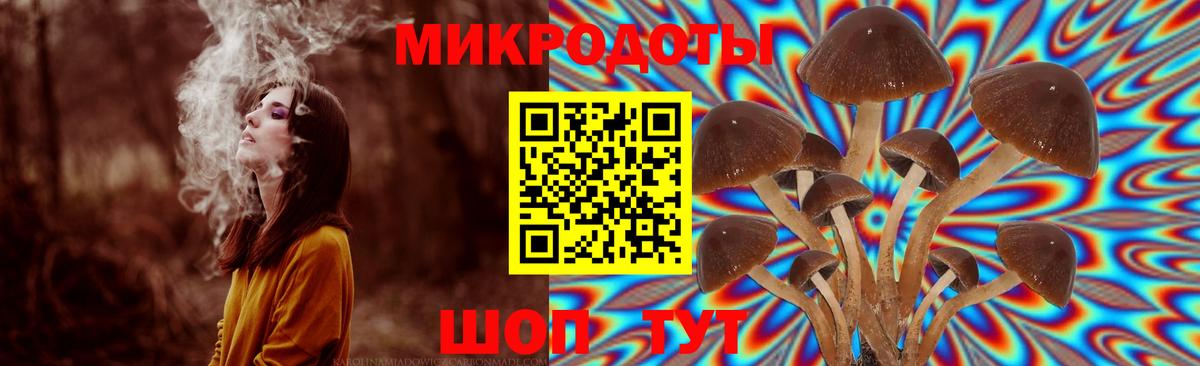Галлюциногенные грибы Psilocybine cubensis Клин
